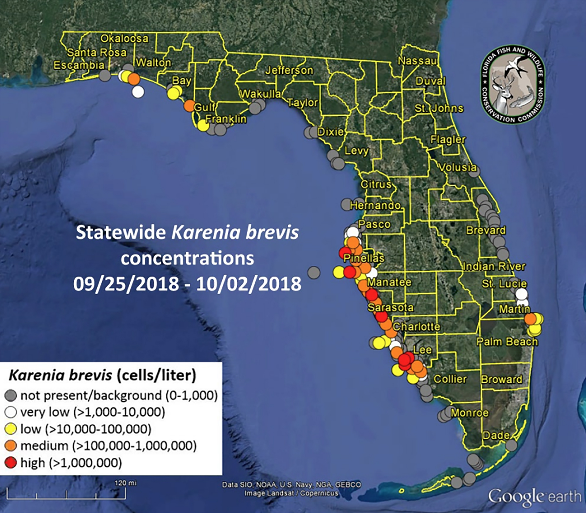 Red tide threatens to close Florida beaches, Fort Lauderdale officials