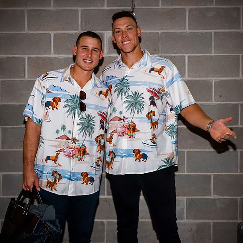 aaron judge and anthony rizzo