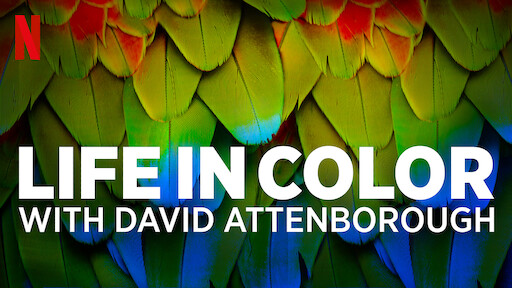 Life in Color with David Attenborough