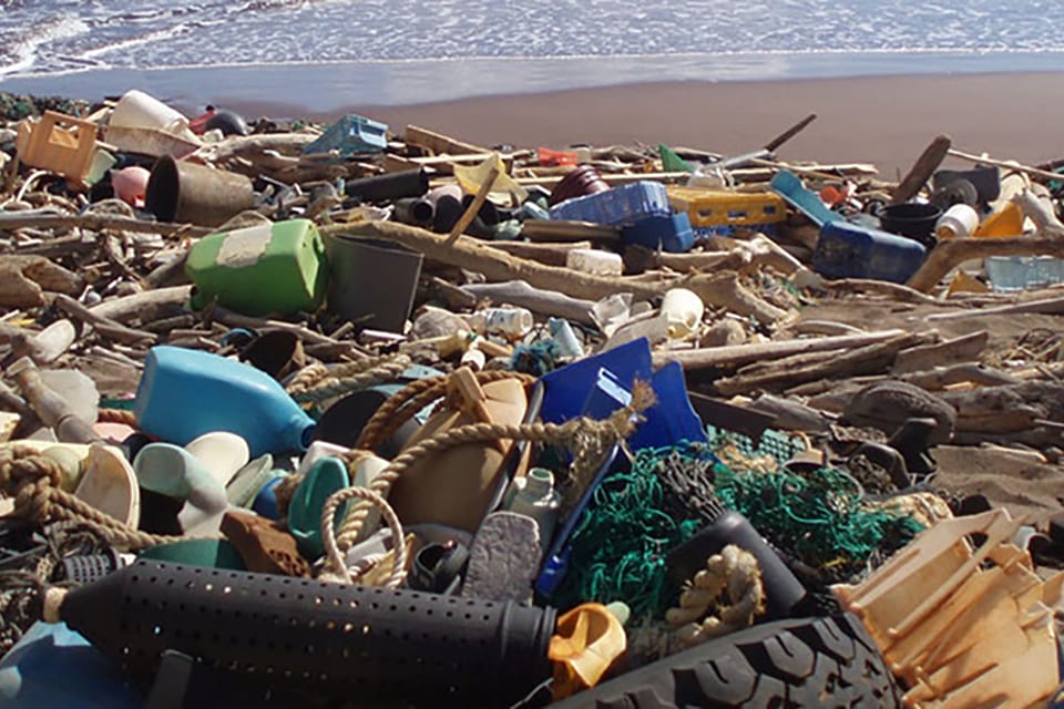 View of a beach littered with garbage