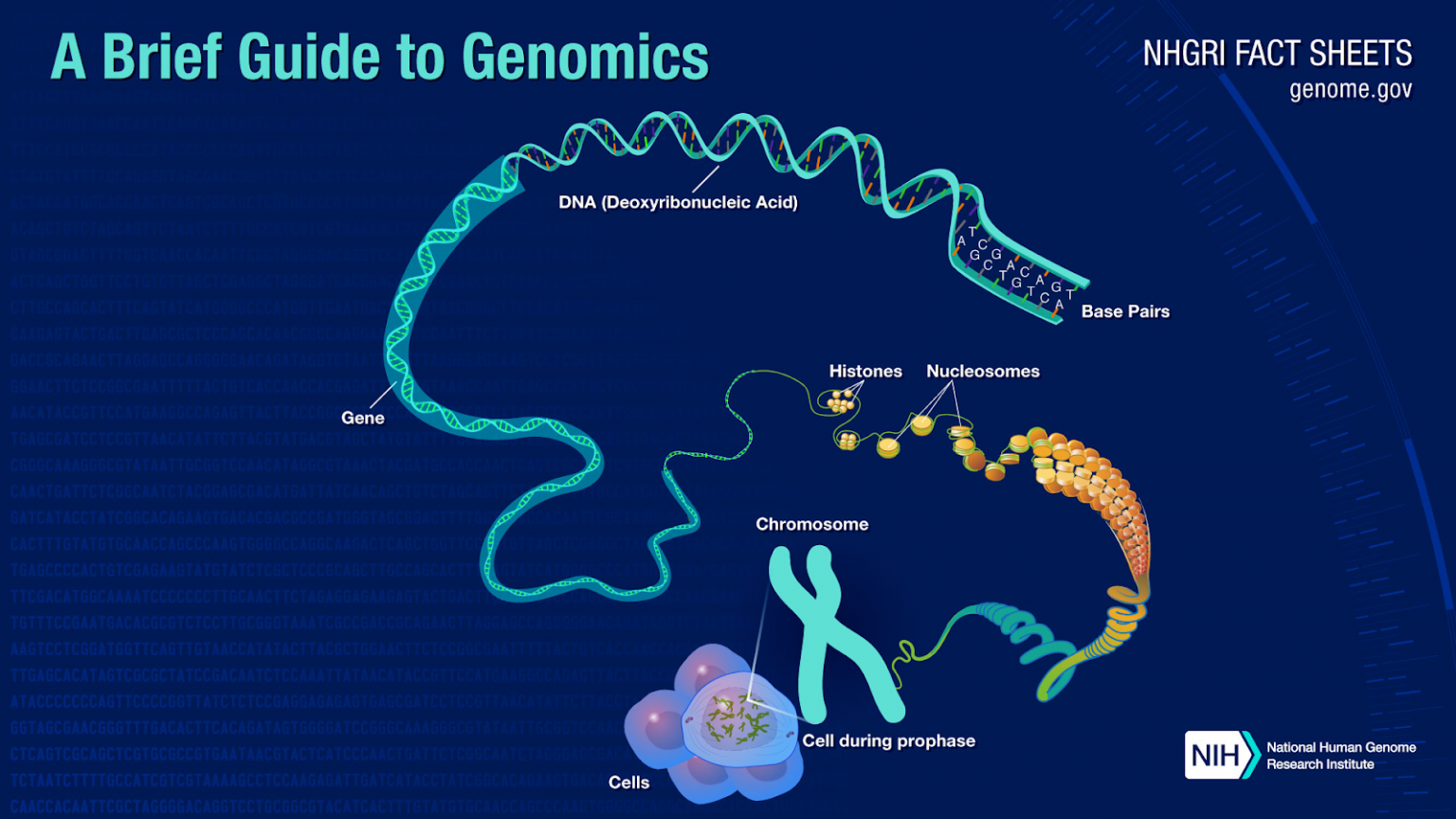 Genome Sequencing Lab - Officers Pulse