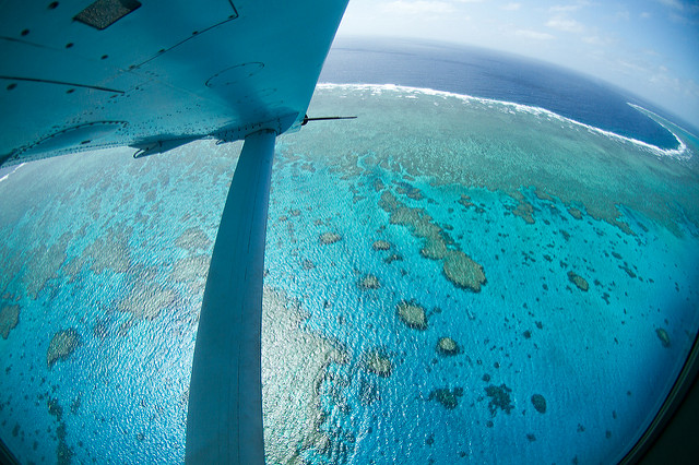 view from a small plane of the ocean and great barrier reef