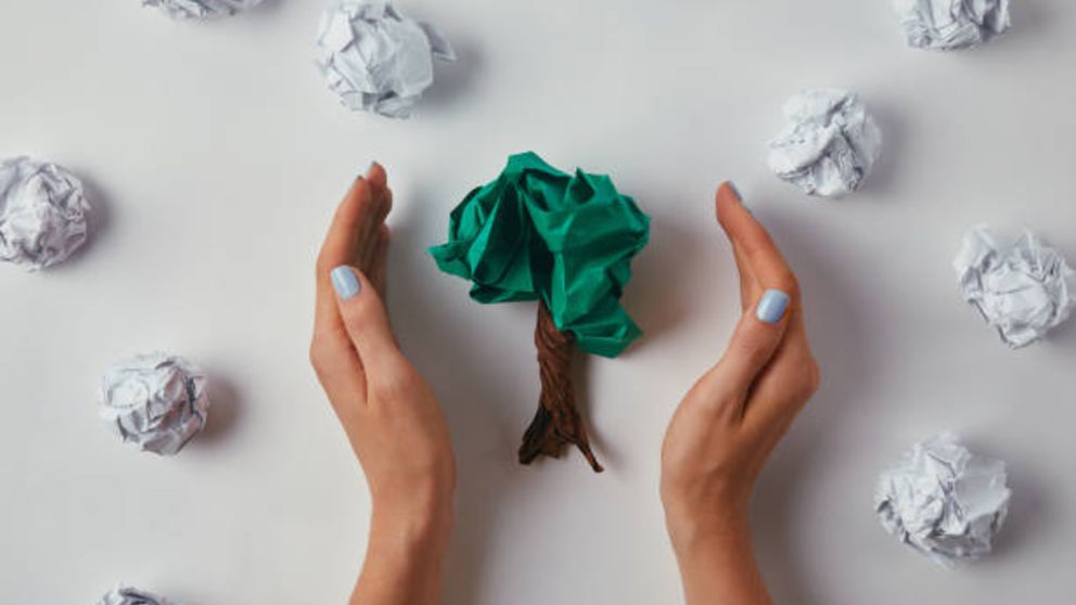 Cómo hacer un árbol decorativo con una bolsa paso a paso