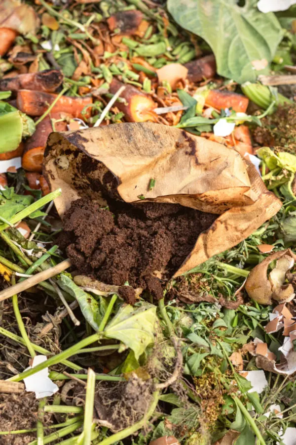 coffee filters in compost pile