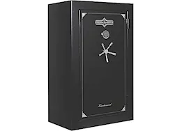 SureLock Lieutenant 30 Gun & Home Safe