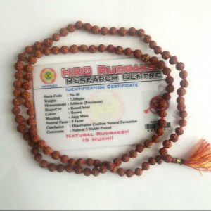 5 MUKHI RUDRAKSH MALA