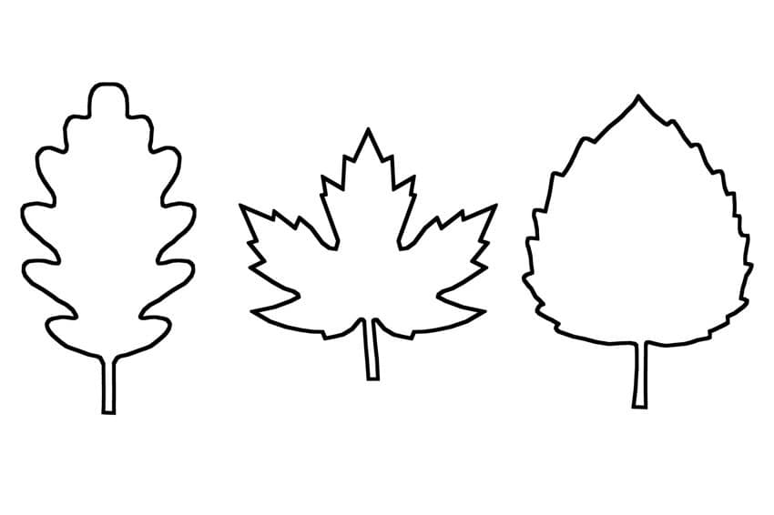 Large Leaf Templates Free Printable