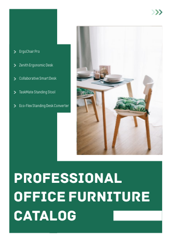 Professional Office Furniture Catalog Template