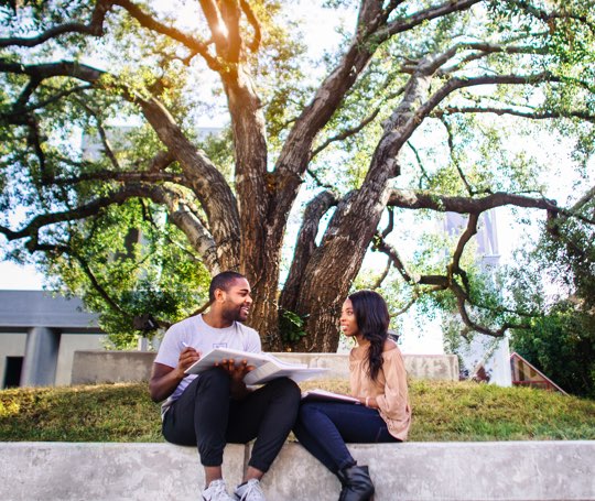 couple sitting on sidewall studying outside LLS