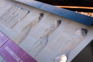 Likenesses of UW–Madison luminaries carved into a stone wall display at UW Alumni Park