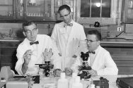 Harry Waisman (left) works in his lab with colleagues C. W. Reiquam and Nathan Smith