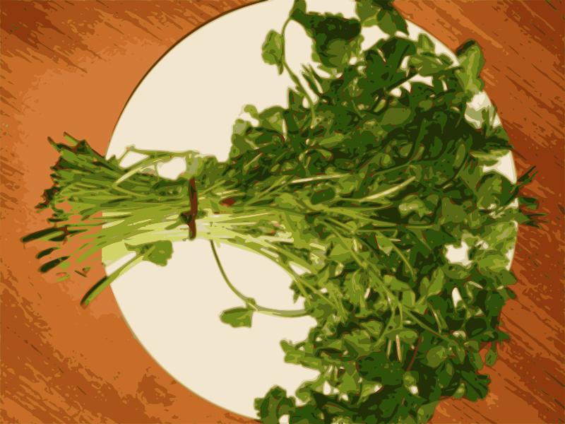 Fresh Coriander