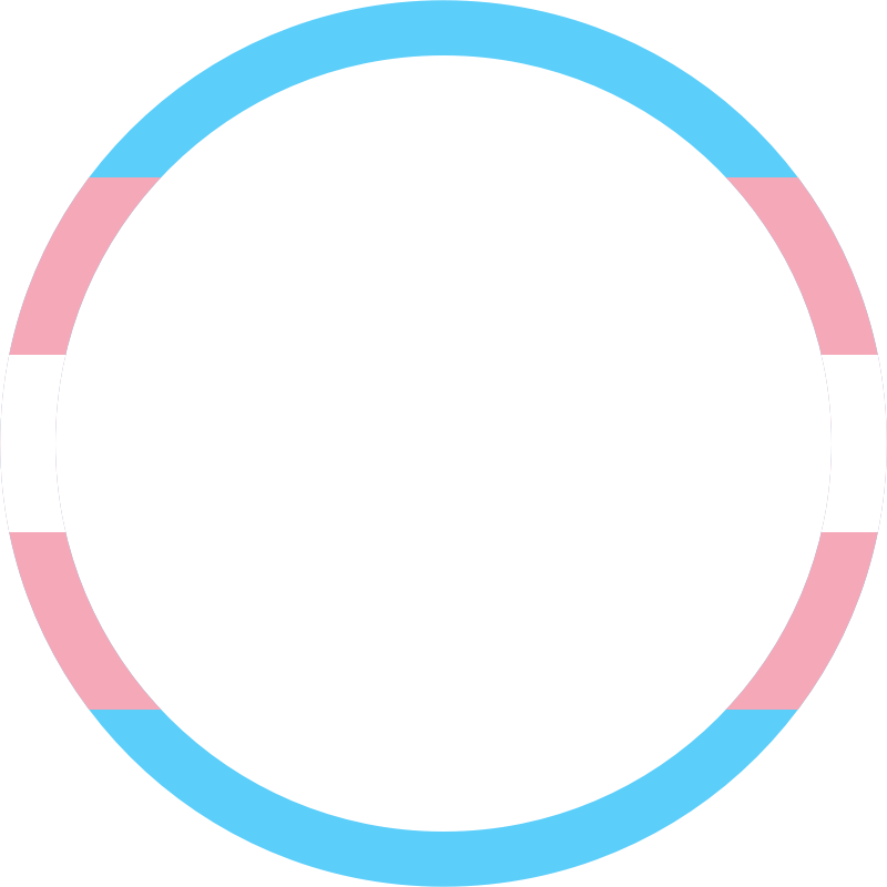 Trans pride flag round profile frame 