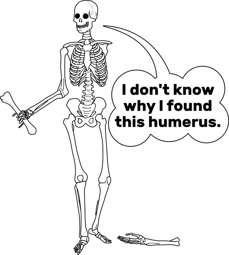 Humerus Bone Image