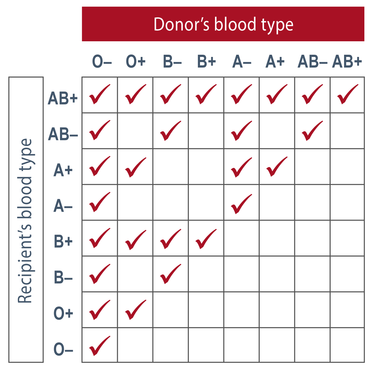 Blood Types: What Are They And What Do They Mean?, 53% OFF