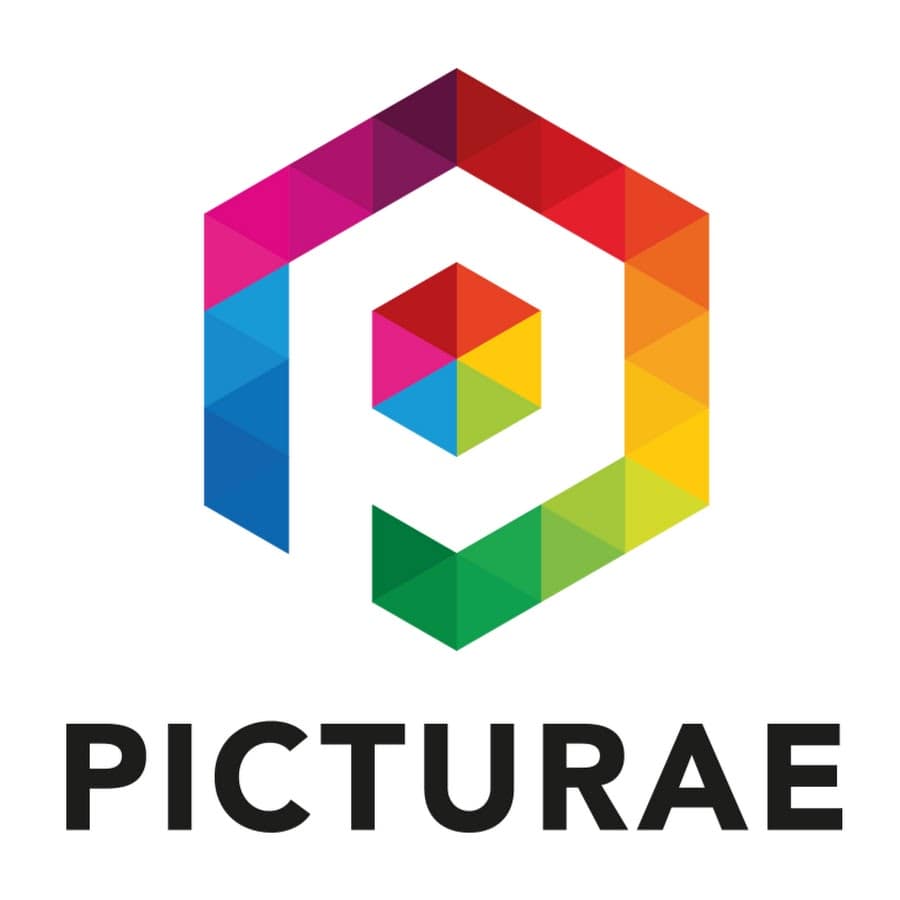 Picturae ICT BV Logo