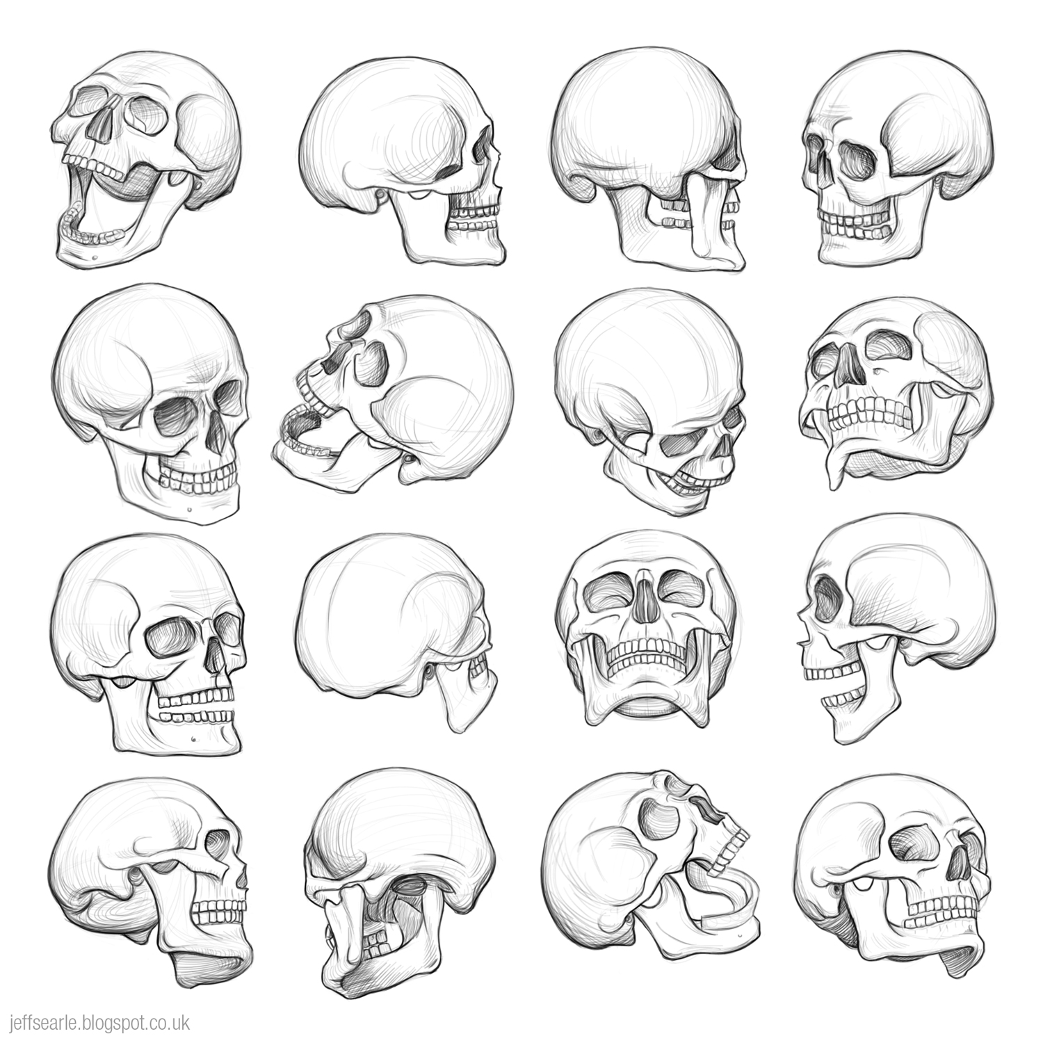 Fabulous Tips About How To Draw A Realistic Skull - Sumresort14