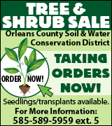 Orleans County Soil & Water