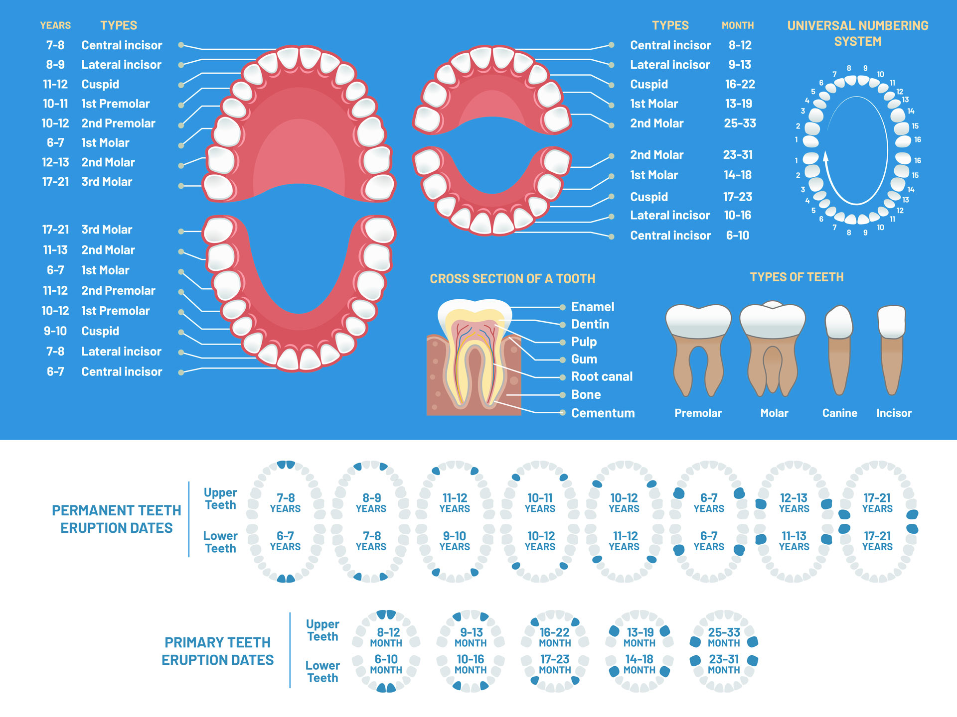 Orthodontics for Children - Troy, Sterling Heights Michigan