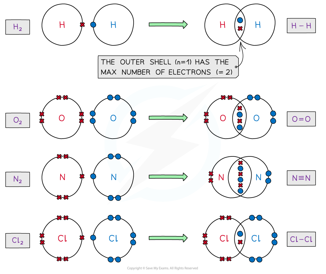 1.3-Chemical-Bonding-Covalent-Dot-Cross-1