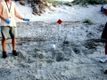 Ghost Crab