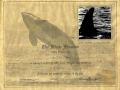 "L-58" was named "Sparky" by the Whale Museum to honor Dr. Mann's given nickname in the game of Slow-Pitch Softball. "L-58" was born in 1980 and died in 2003. "Sparky" had a tall dorsal fin with a rounded tip and a slight wave in the middle. He was the first calf of "Tanya" L-5 and had a younger brother "Flash" L-73 born in 1985. They were a very tight group and were rarely seen apart. "Sparky" was frequently observed with teenage males from the Southern Resident community around him. Perhaps he was serving as a role model or "big brother".