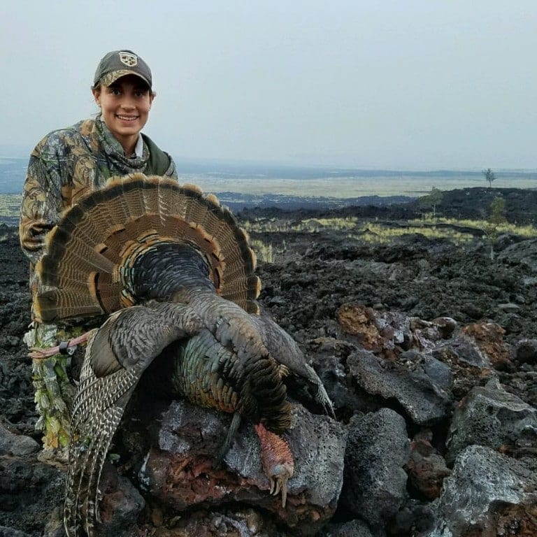 Hawaii Turkey Hunt » Outdoors International