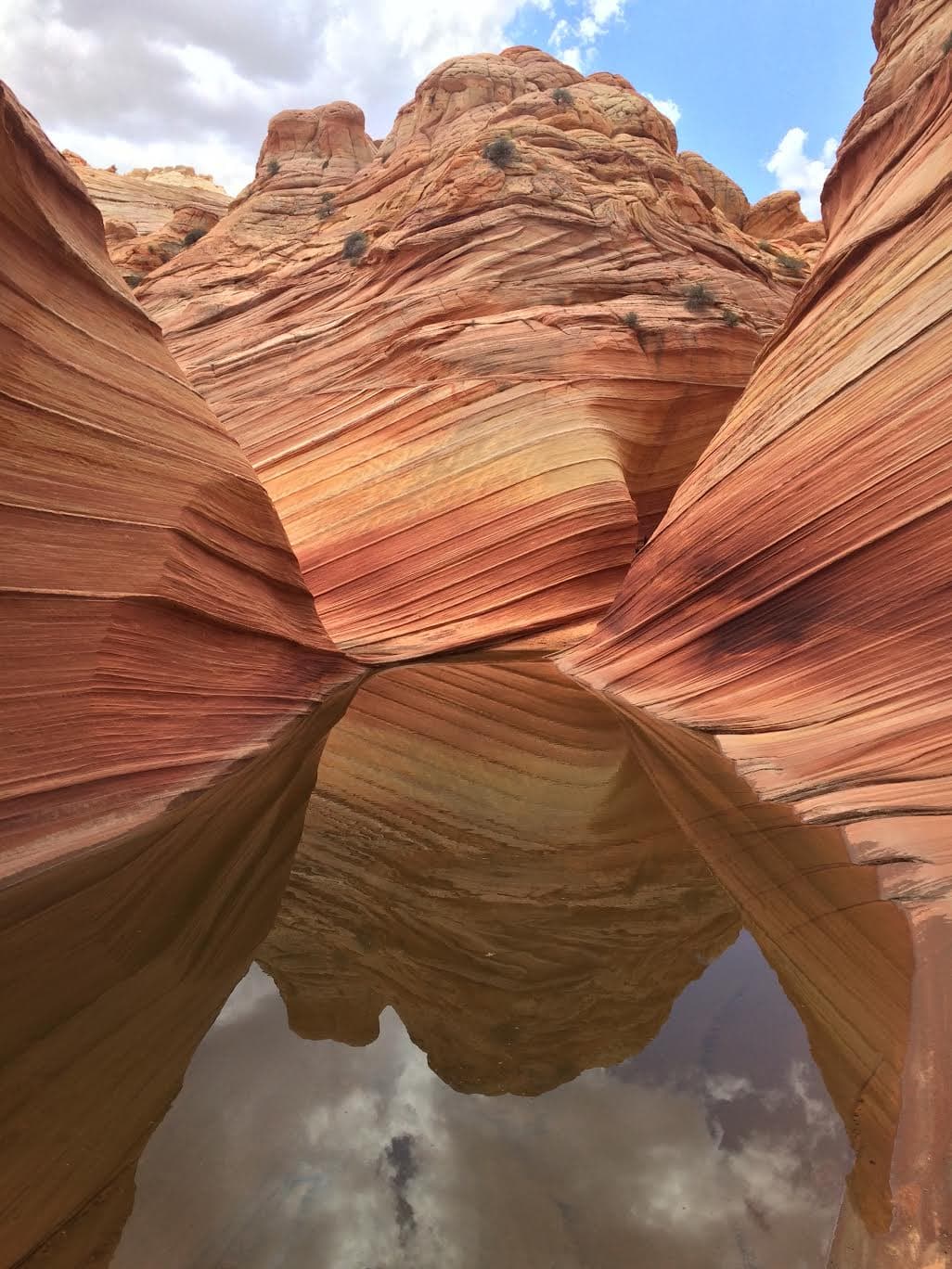 Red sandstone wave formation in Arizona with a pool of water at the base