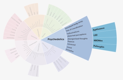 Drug Wheel Segment - Adf Drug Wheel, HD Png Download - kindpng