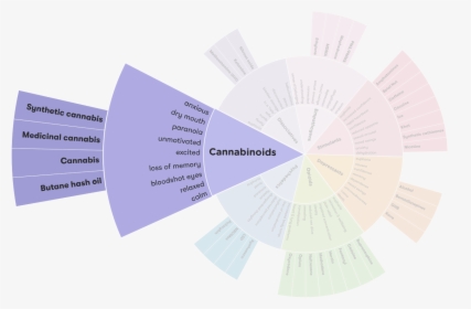 Drug Wheel Segment, HD Png Download - kindpng