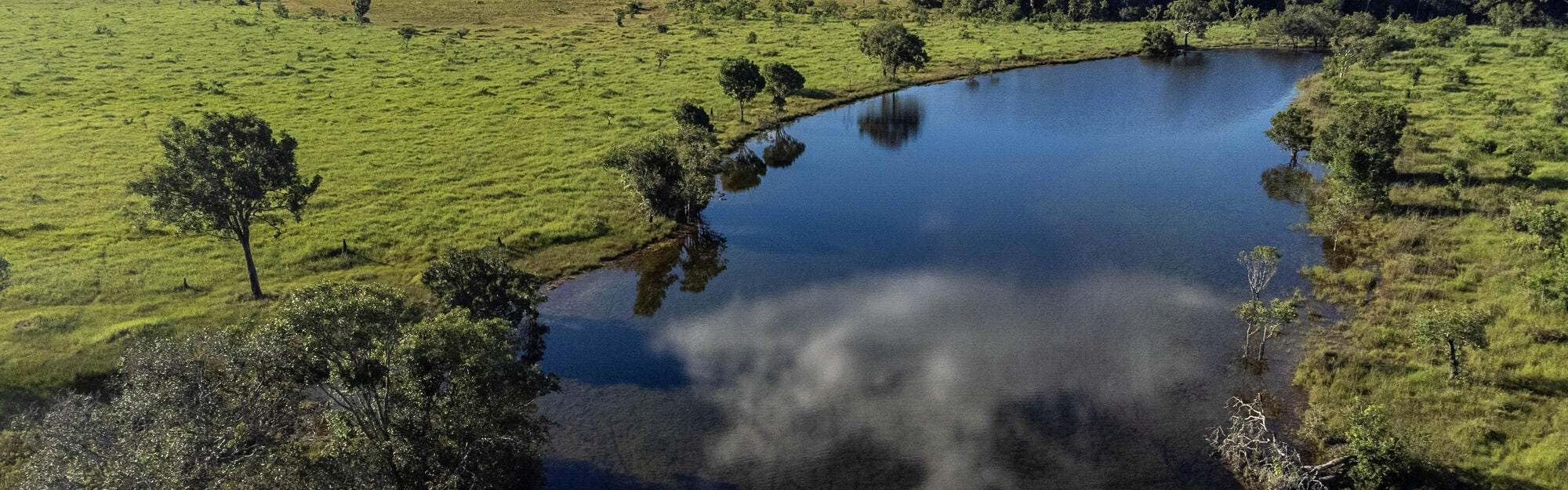 a river passes through a verdant green landscape.