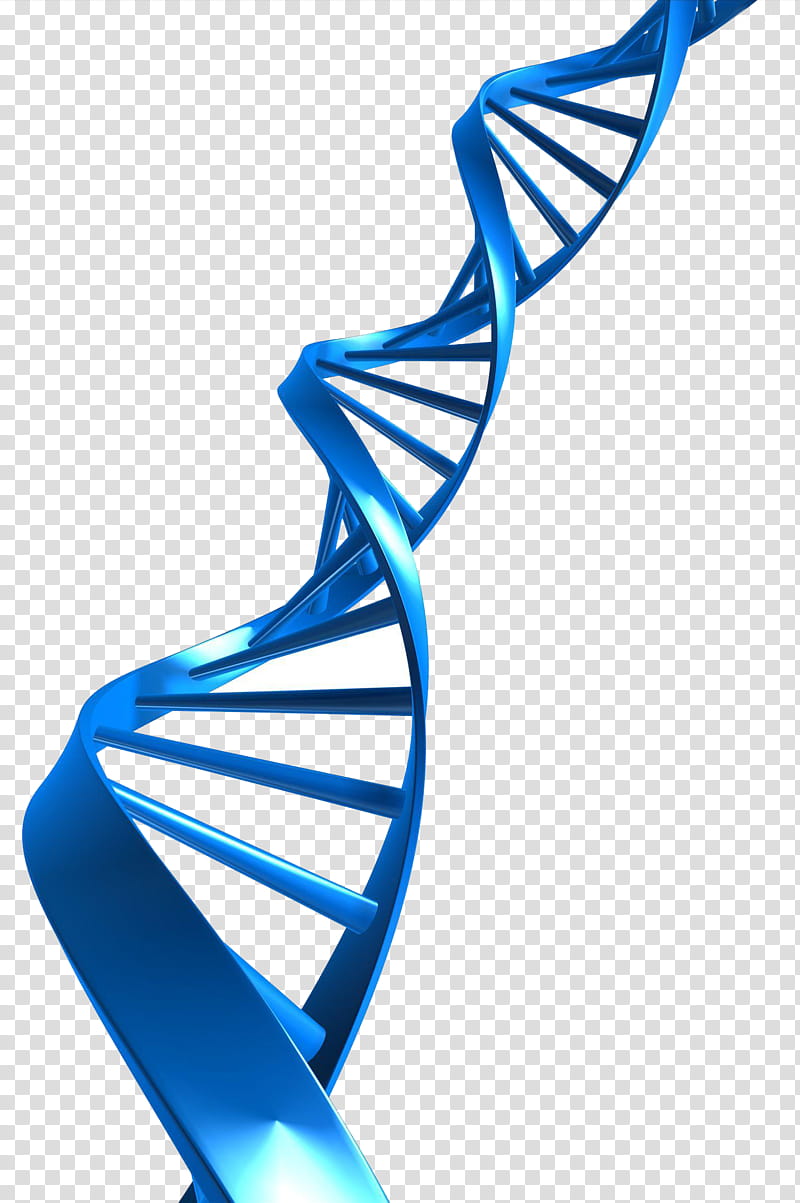 Double Helix, Dna, Nucleic Acid Double Helix, Dna Profiling, DNA ...