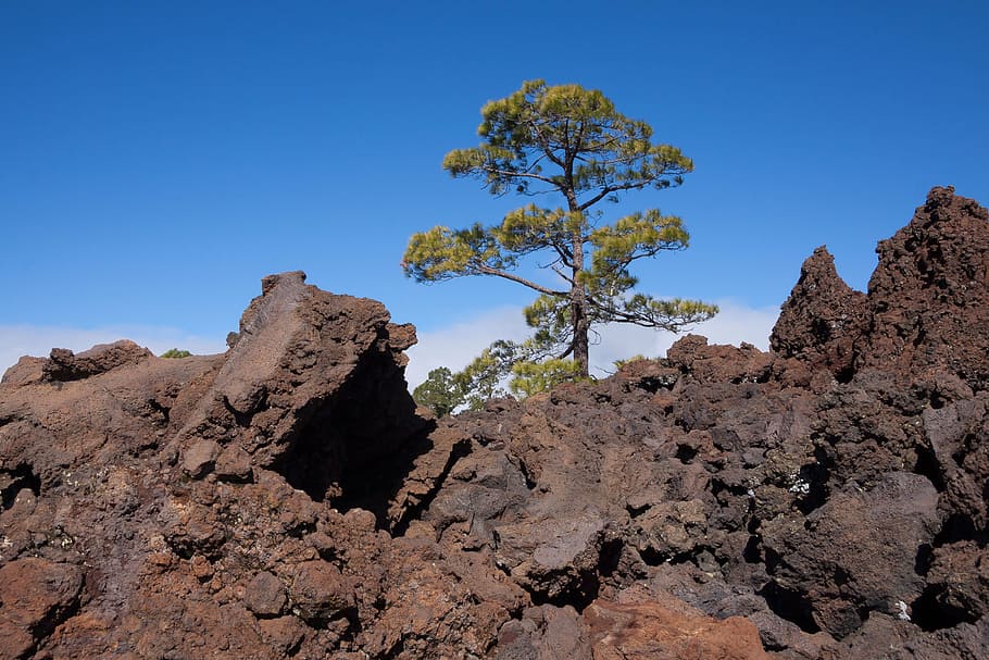 lava, lava rock, lava fields, boulders, lunar landscape, tenerife ... image.