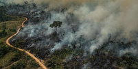 Amazônia é o bioma com maior registro de queimadas em 2024  Foto: Victor Moriyama/Greenpeace