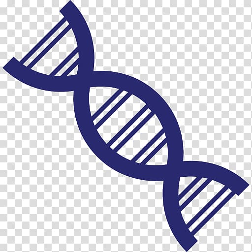 Genetics DNA Genetic testing Computer Icons, dna tree transparent ...