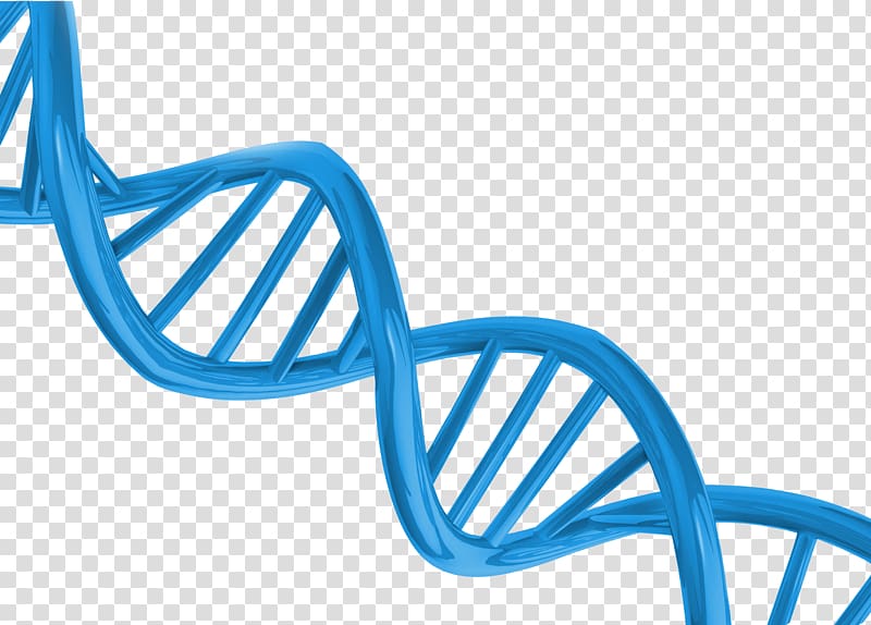 DNA transparent background PNG clipart | HiClipart