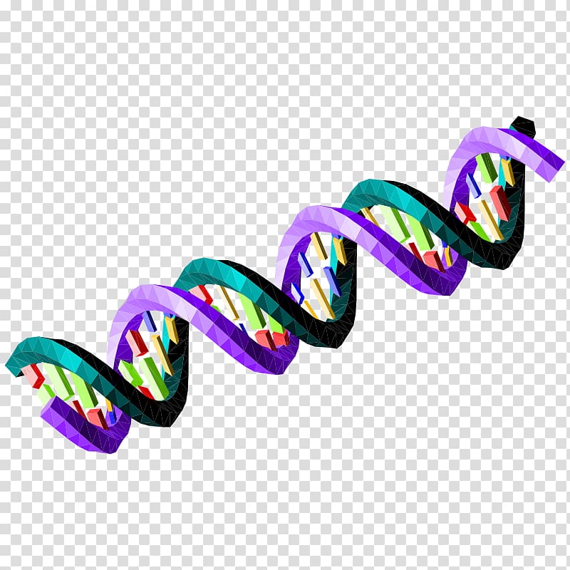 Nucleic acid sequence DNA Bioinformatics Green , Double Helix ...