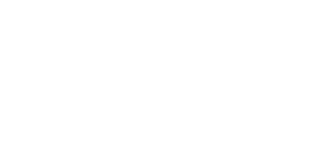 CRN logo REVERSE