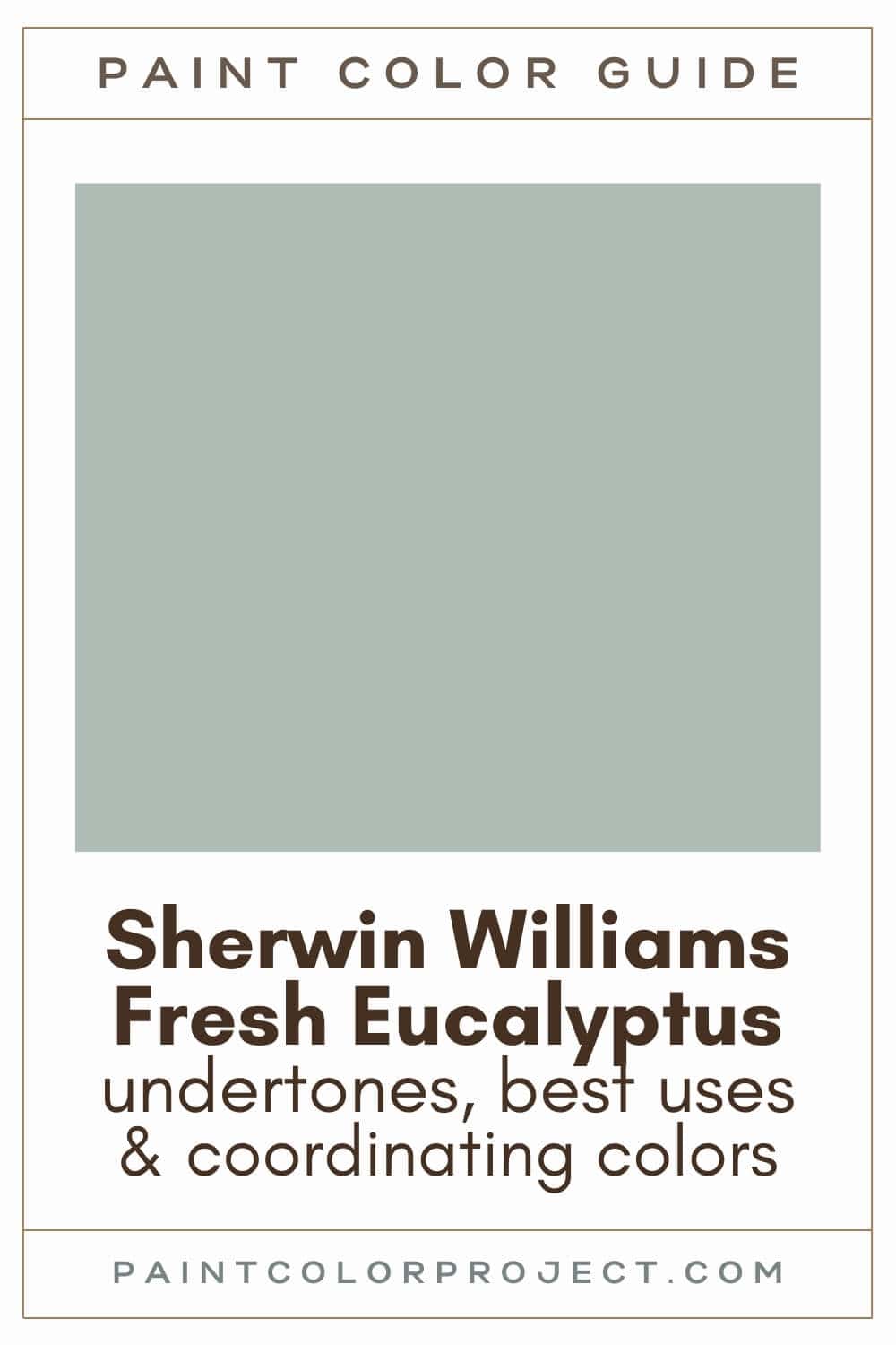 Sherwin Williams Fresh Eucalyptus Paint Color Guide