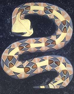 The Gaboon Viper