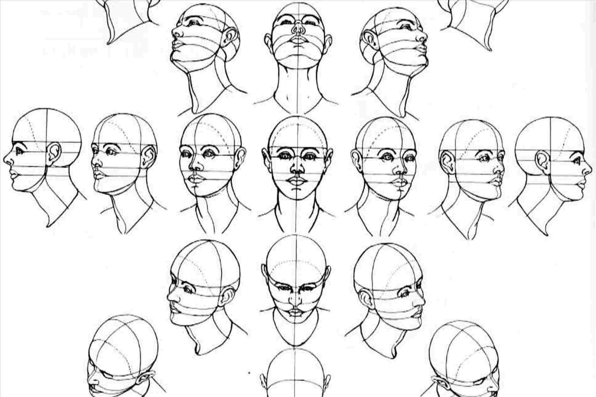 Drawing Face Angles at PaintingValley.com | Explore collection of ...