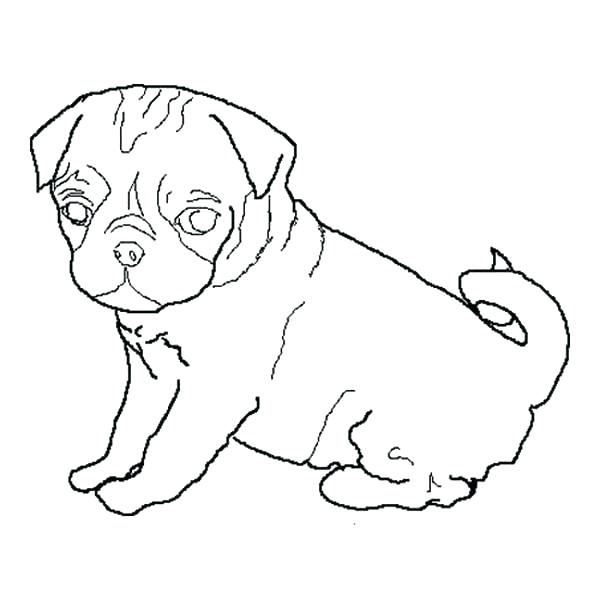 Pug Outline Drawing at PaintingValley.com | Explore collection of Pug ...