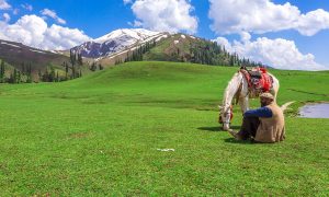 Payee Meadows and Makra Peak