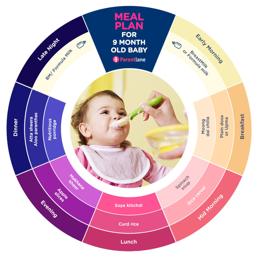 Baby Formula Feeding Chart By Month | Labb by AG