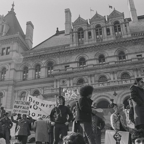 New York State Capitol (Diana Davies)