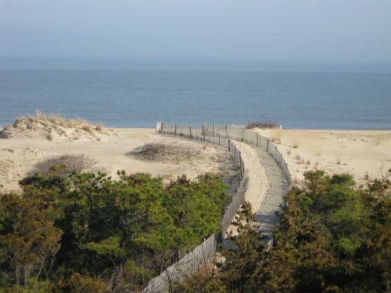 Cape Henlopen State Park Main Image