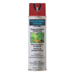 Rust-Oleum Turf Paint Red