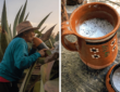 pulque