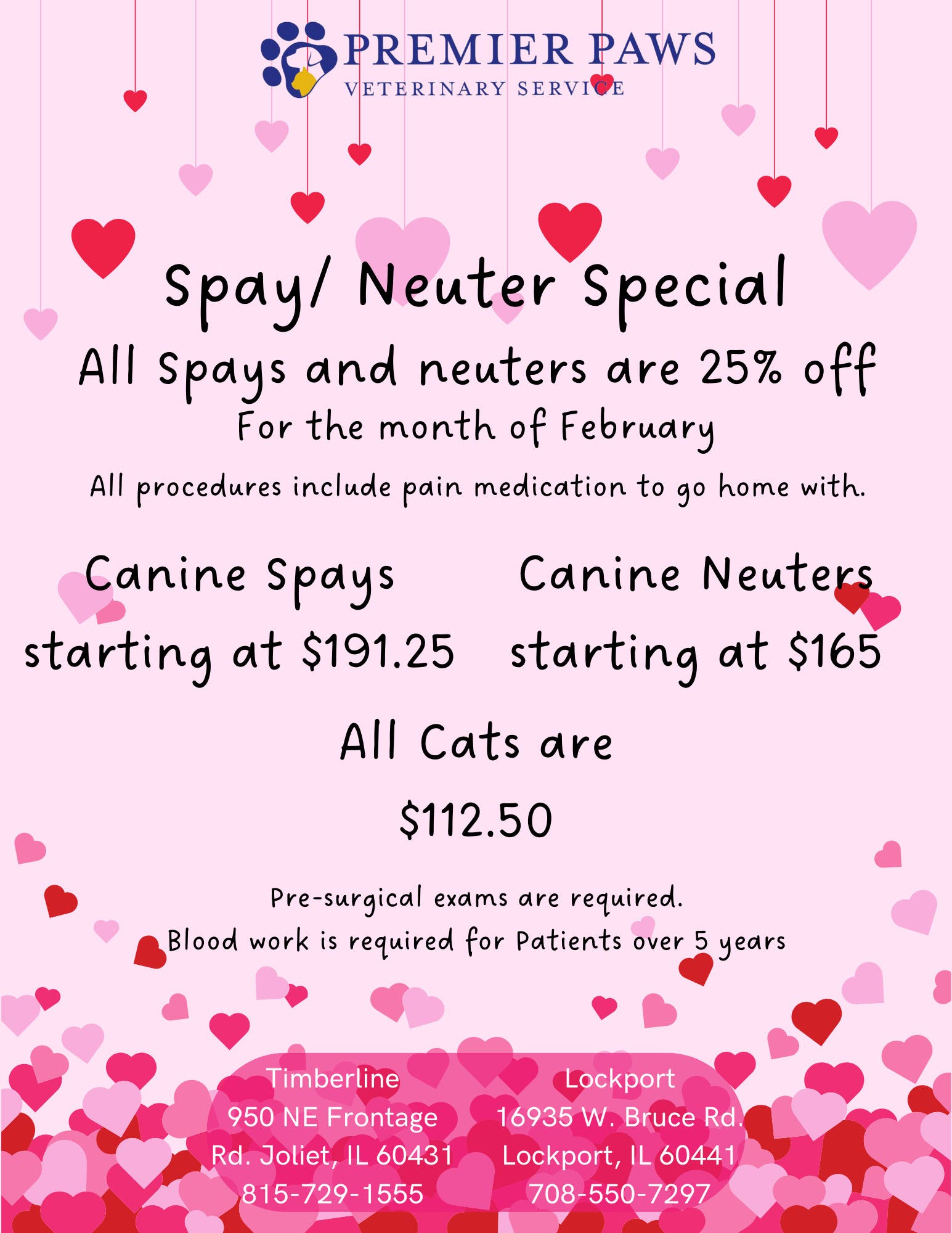 Spay/Neuter Special in February