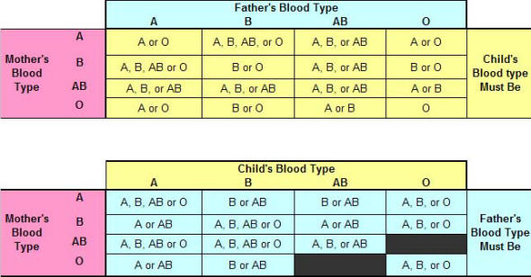 Blood Type Chart Genotypes